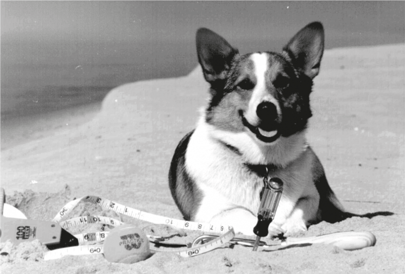 Иллюстрация к книге — Время переменных. Математический анализ в безумном мире [i_206.jpg]