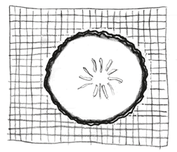 Иллюстрация к книге — Время переменных. Математический анализ в безумном мире [i_220.jpg]