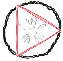 Иллюстрация к книге — Время переменных. Математический анализ в безумном мире [i_226.jpg]