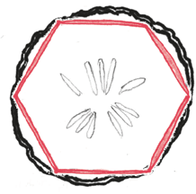 Иллюстрация к книге — Время переменных. Математический анализ в безумном мире [i_229.jpg]