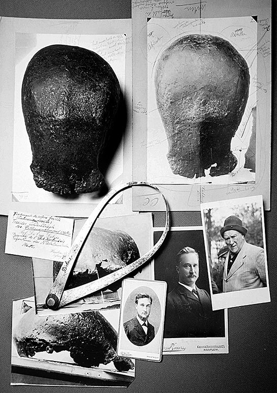 Иллюстрация к книге — Остались одни. Единственный вид людей на земле [i_001.jpg]