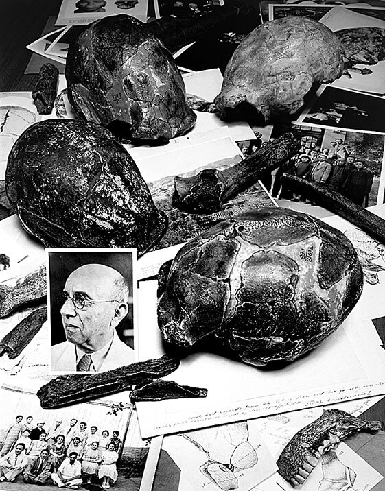 Иллюстрация к книге — Остались одни. Единственный вид людей на земле [i_004.jpg]