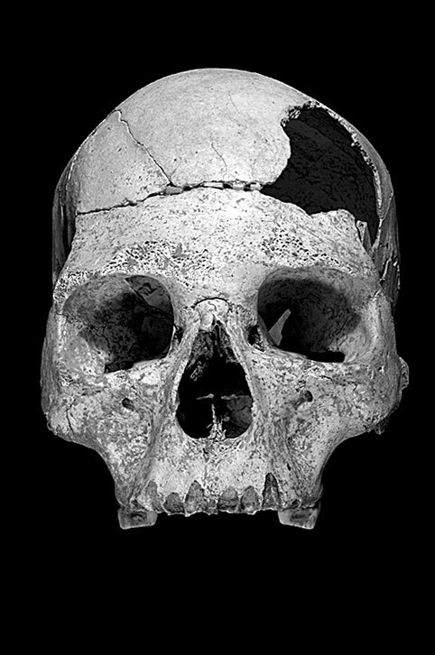 Иллюстрация к книге — Остались одни. Единственный вид людей на земле [i_016.jpg]