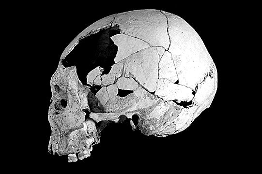 Иллюстрация к книге — Остались одни. Единственный вид людей на земле [i_017.jpg]