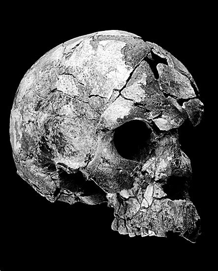 Иллюстрация к книге — Остались одни. Единственный вид людей на земле [i_018.jpg]