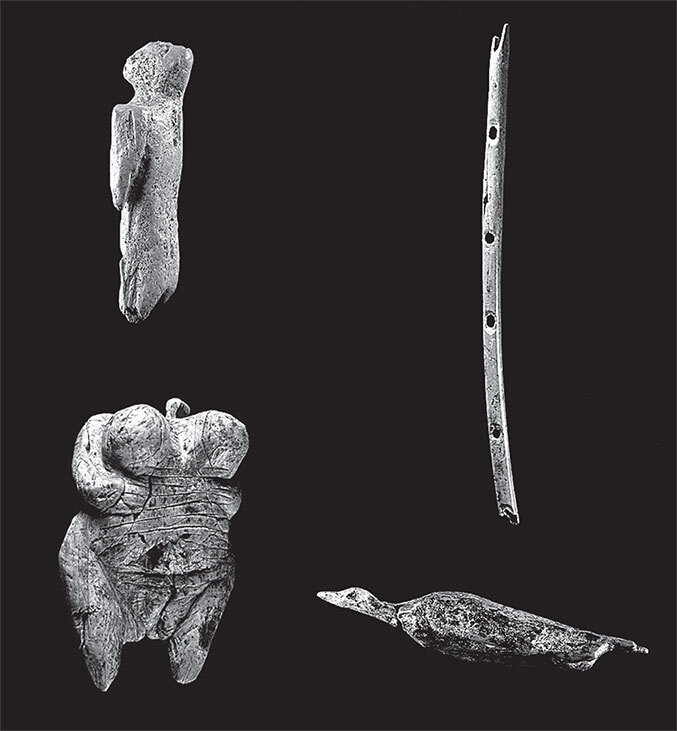 Иллюстрация к книге — Остались одни. Единственный вид людей на земле [i_022.jpg]