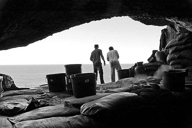 Иллюстрация к книге — Остались одни. Единственный вид людей на земле [i_025.jpg]