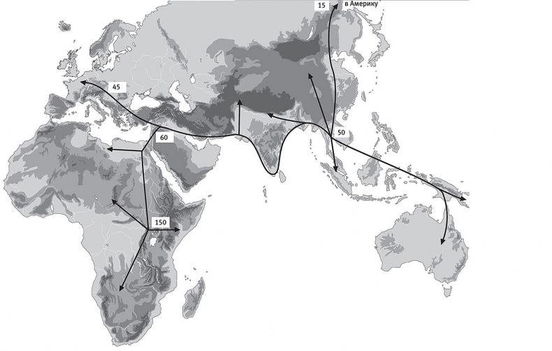 Иллюстрация к книге — Остались одни. Единственный вид людей на земле [i_033.jpg]