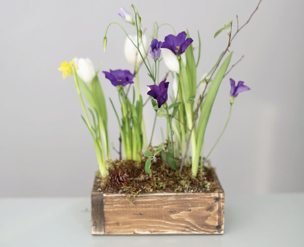 Иллюстрация к книге — Цветочная мастерская. Первая книга начинающего флориста [i_004.jpg]