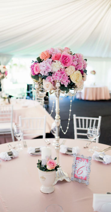 Иллюстрация к книге — Цветочная мастерская. Первая книга начинающего флориста [i_005.jpg]