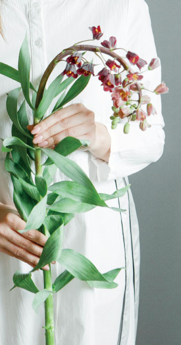 Иллюстрация к книге — Цветочная мастерская. Первая книга начинающего флориста [i_006.jpg]