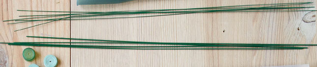 Иллюстрация к книге — Цветочная мастерская. Первая книга начинающего флориста [i_026.jpg]