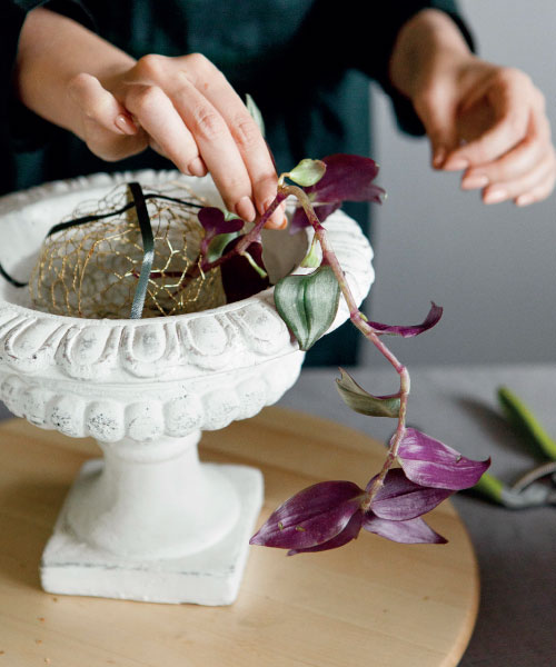 Иллюстрация к книге — Цветочная мастерская. Первая книга начинающего флориста [i_069.jpg]