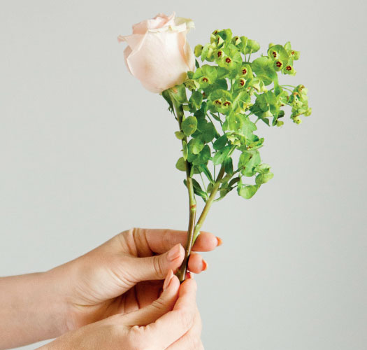 Иллюстрация к книге — Цветочная мастерская. Первая книга начинающего флориста [i_108.jpg]