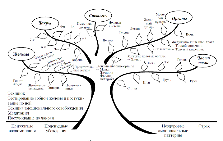 Иллюстрация к книге — Лучший врач – ваше подсознание [pic_12.jpg]