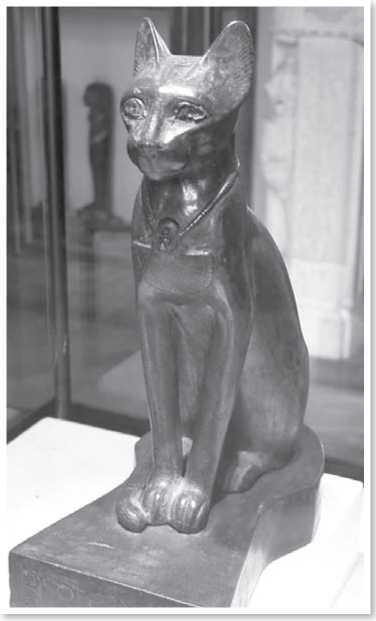 Иллюстрация к книге — Всемирная история глазами кошек [i_003.jpg]