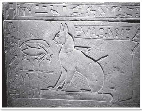 Иллюстрация к книге — Всемирная история глазами кошек [i_005.jpg]