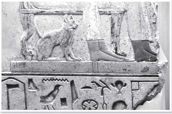 Иллюстрация к книге — Всемирная история глазами кошек [i_006.jpg]