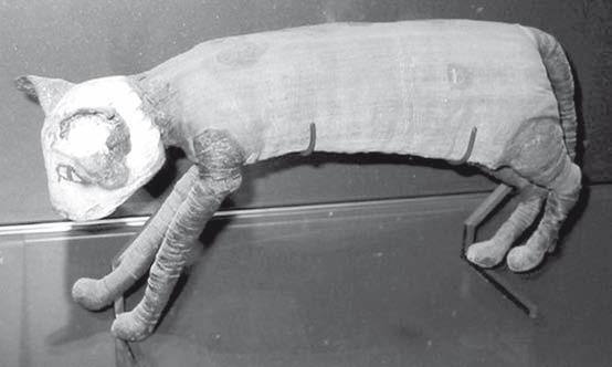 Иллюстрация к книге — Всемирная история глазами кошек [i_017.jpg]