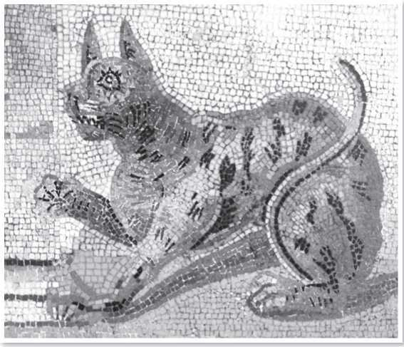 Иллюстрация к книге — Всемирная история глазами кошек [i_019.jpg]