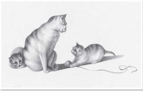 Иллюстрация к книге — Всемирная история глазами кошек [i_043.jpg]