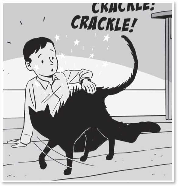 Иллюстрация к книге — Всемирная история глазами кошек [i_045.jpg]