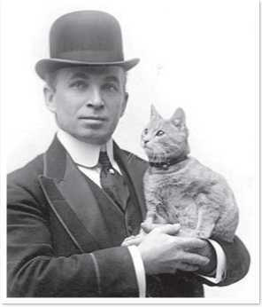 Иллюстрация к книге — Всемирная история глазами кошек [i_051.jpg]