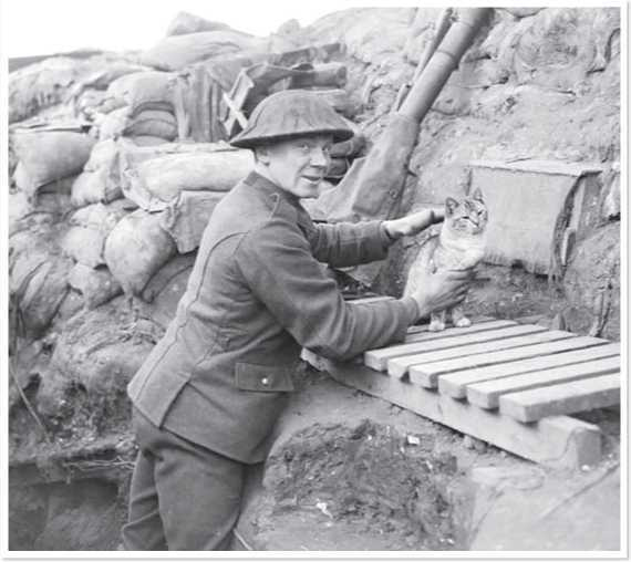 Иллюстрация к книге — Всемирная история глазами кошек [i_053.jpg]