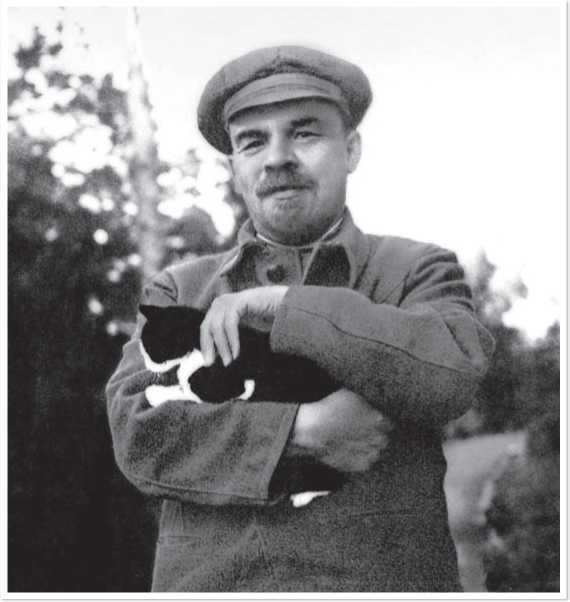 Иллюстрация к книге — Всемирная история глазами кошек [i_054.jpg]