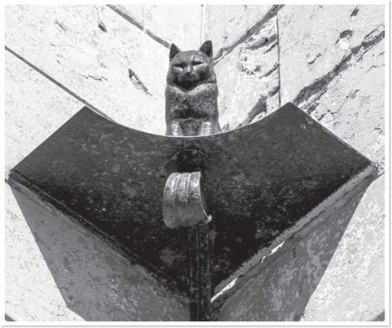 Иллюстрация к книге — Всемирная история глазами кошек [i_057.jpg]