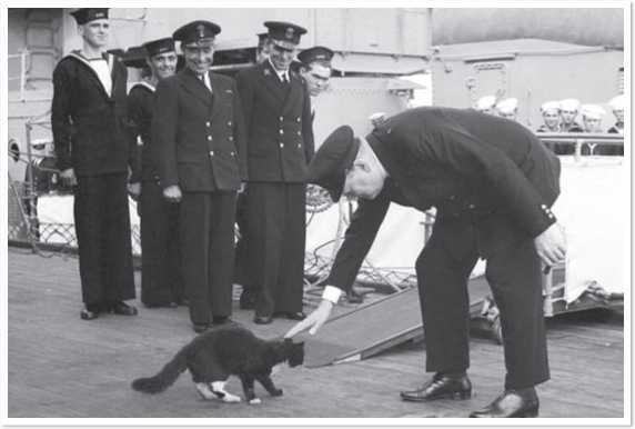 Иллюстрация к книге — Всемирная история глазами кошек [i_062.jpg]