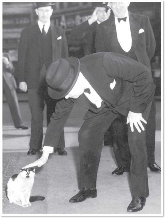 Иллюстрация к книге — Всемирная история глазами кошек [i_068.jpg]