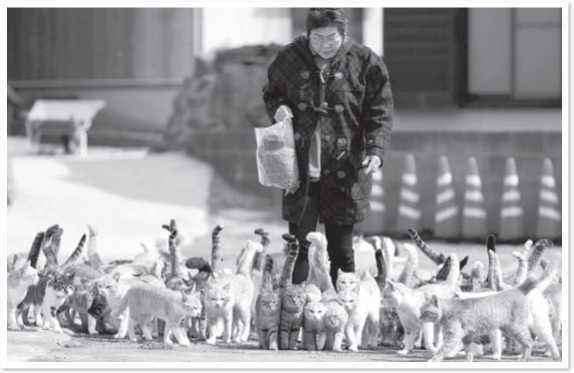 Иллюстрация к книге — Всемирная история глазами кошек [i_074.jpg]