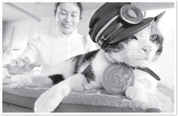 Иллюстрация к книге — Всемирная история глазами кошек [i_075.jpg]