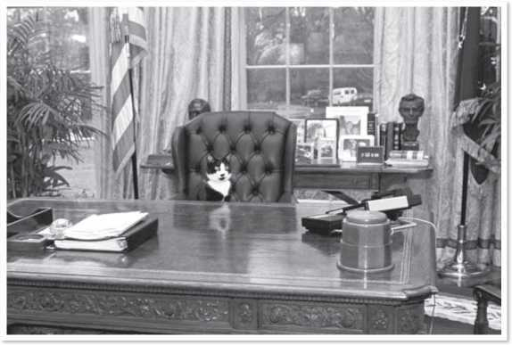 Иллюстрация к книге — Всемирная история глазами кошек [i_076.jpg]