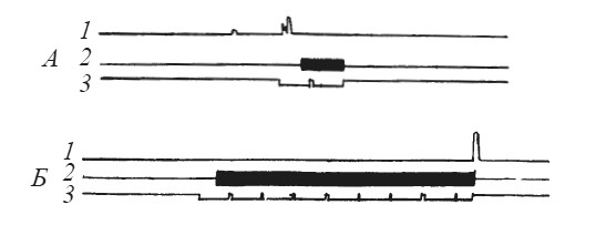 Иллюстрация к книге — Эмоциональный мозг [i_013.jpg]