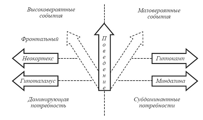 Иллюстрация к книге — Эмоциональный мозг [i_047.jpg]