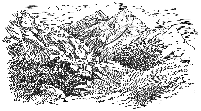 Иллюстрация к книге — Вера и правда [ris.jpg]