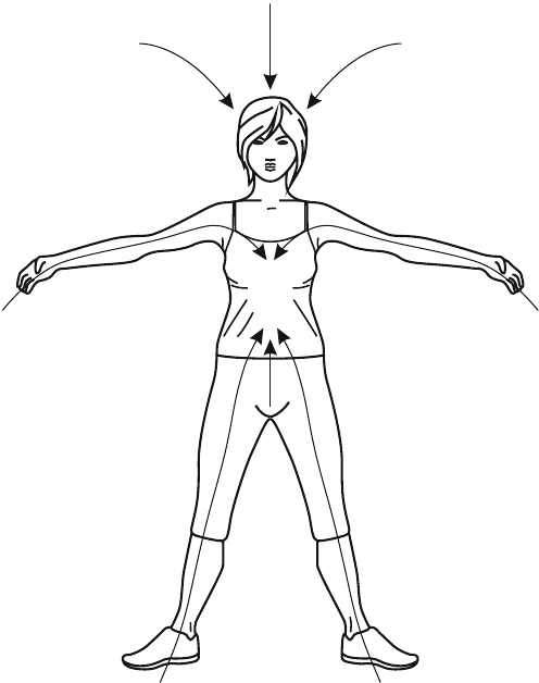 Иллюстрация к книге — В потоке. Как усилить течение жизненной силы: авторский метод работы с чакрами [i_001.jpg]