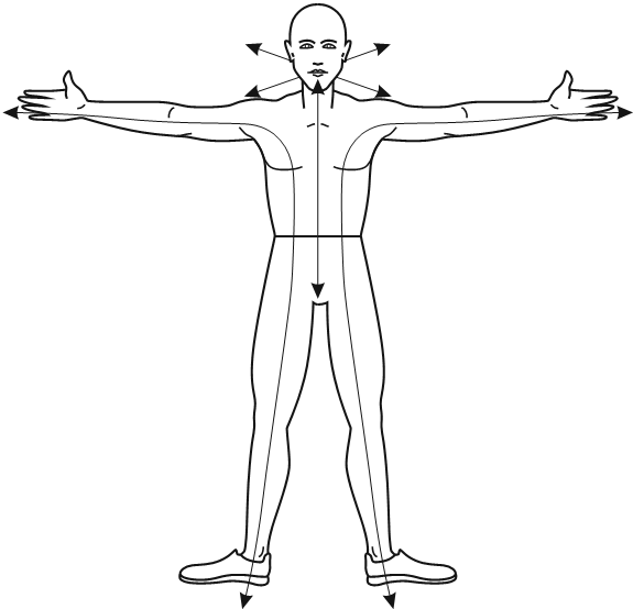 Иллюстрация к книге — В потоке. Как усилить течение жизненной силы: авторский метод работы с чакрами [i_002.jpg]