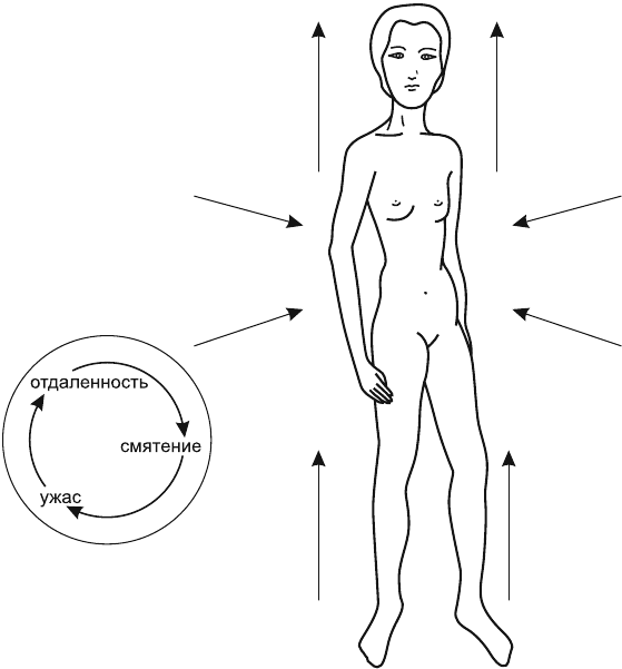 Иллюстрация к книге — В потоке. Как усилить течение жизненной силы: авторский метод работы с чакрами [i_021.jpg]