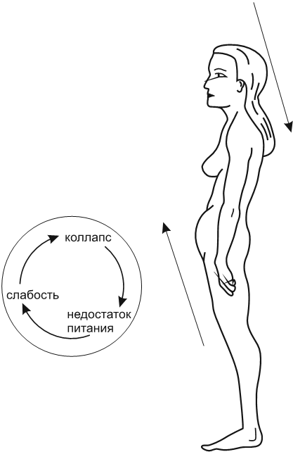 Иллюстрация к книге — В потоке. Как усилить течение жизненной силы: авторский метод работы с чакрами [i_022.jpg]