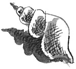 Иллюстрация к книге — Лампёшка [i_048.jpg]