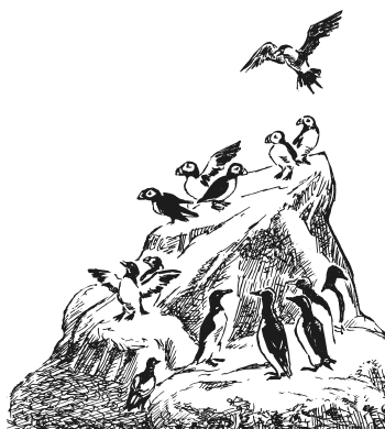 Иллюстрация к книге — Занимательная география [i_028.jpg]