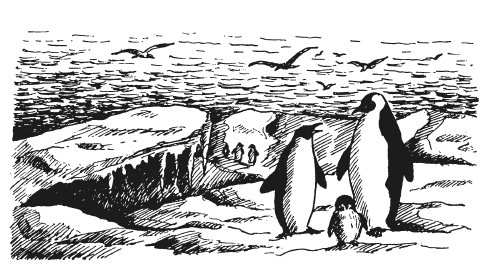 Иллюстрация к книге — Занимательная география [i_044.jpg]