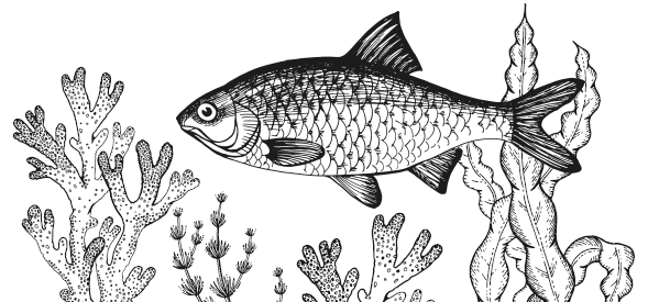 Иллюстрация к книге — Занимательная география [i_047.jpg]