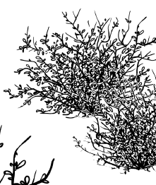 Иллюстрация к книге — Занимательная география [i_067.jpg]