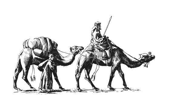 Иллюстрация к книге — Занимательная география [i_069.jpg]