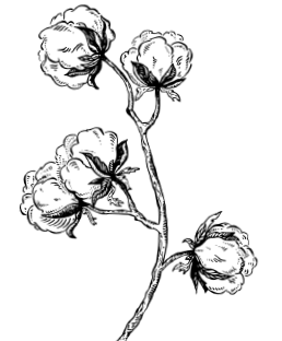 Иллюстрация к книге — Занимательная география [i_076.jpg]