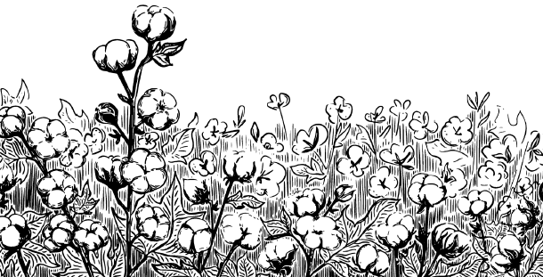 Иллюстрация к книге — Занимательная география [i_077.jpg]